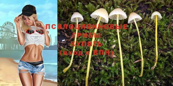 мдпв Абдулино